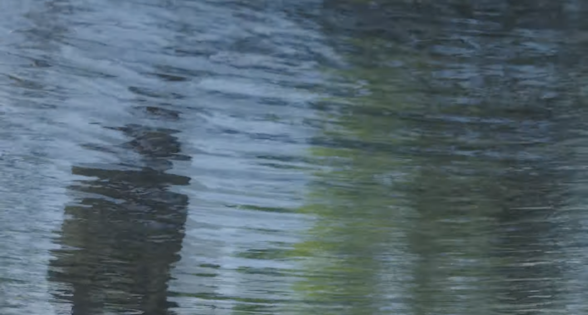 the main character, Cas, sits by a pond
